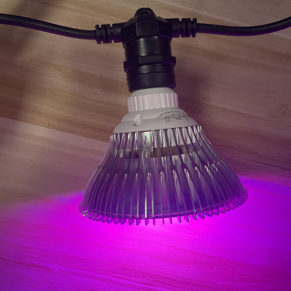 10M Cable LED String Commercia - Outdoor Lighting Wedding Decor recension och pris
