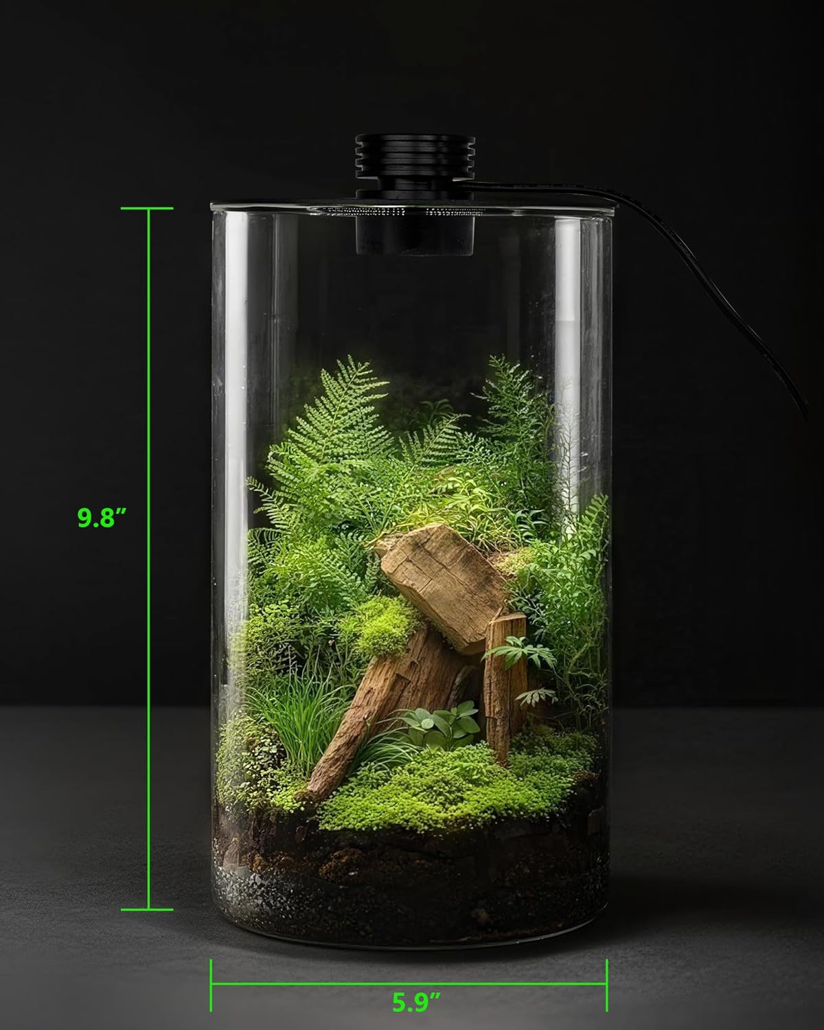 Indoor Glass Terrarium with Gr - Office Lighting Decor recension och pris